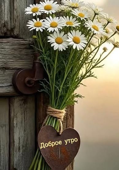 Доброе утро