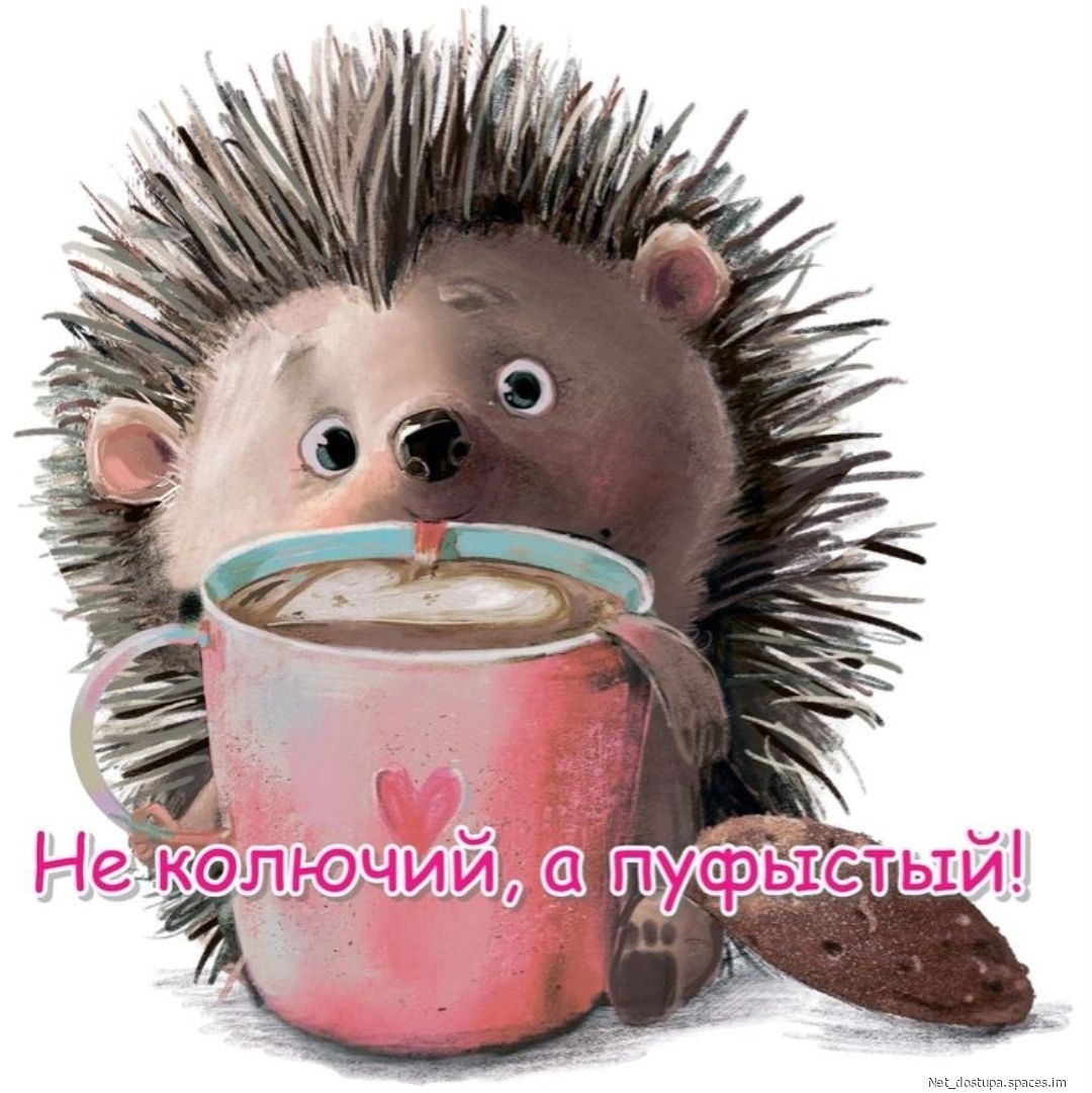 Не колючий, а пуфыстый!