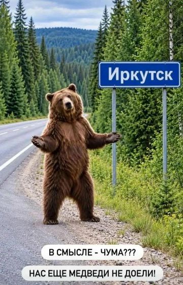 Иркутск В смысле - чума??? Нас еще медведи не доели!