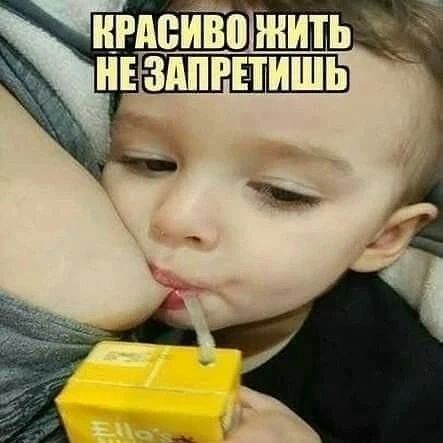 КРАСИВО ЖИТЬ НЕ ЗАПРЕТИШЬ