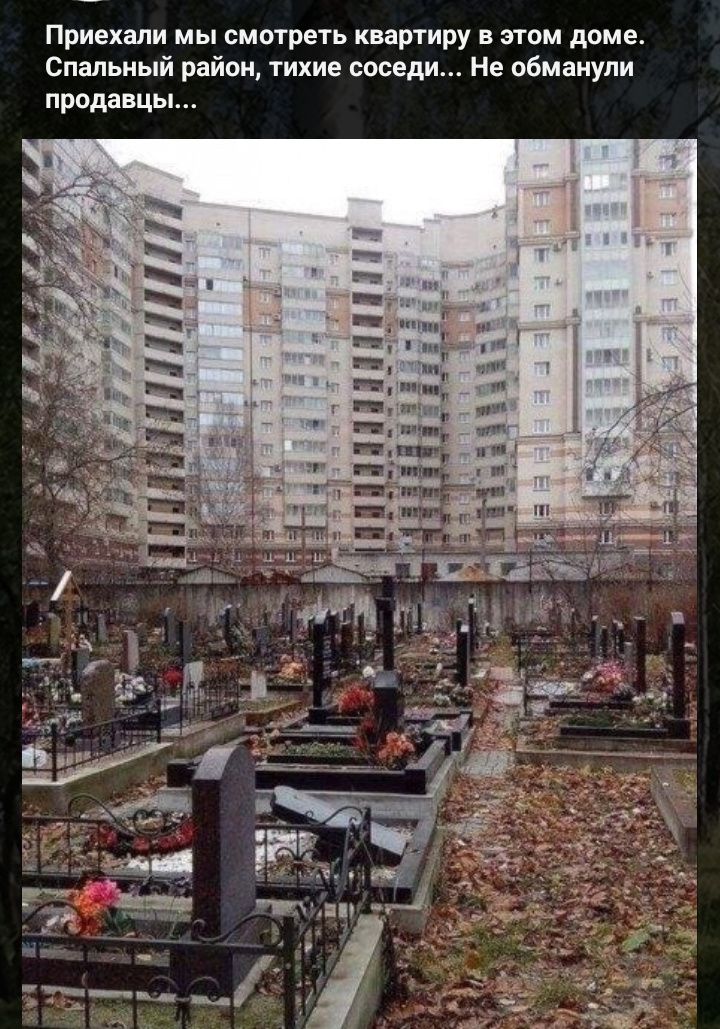 Приехали мы смотреть квартиру в этом доме. Спальный район, тихие соседи... Не обманули продавцы...