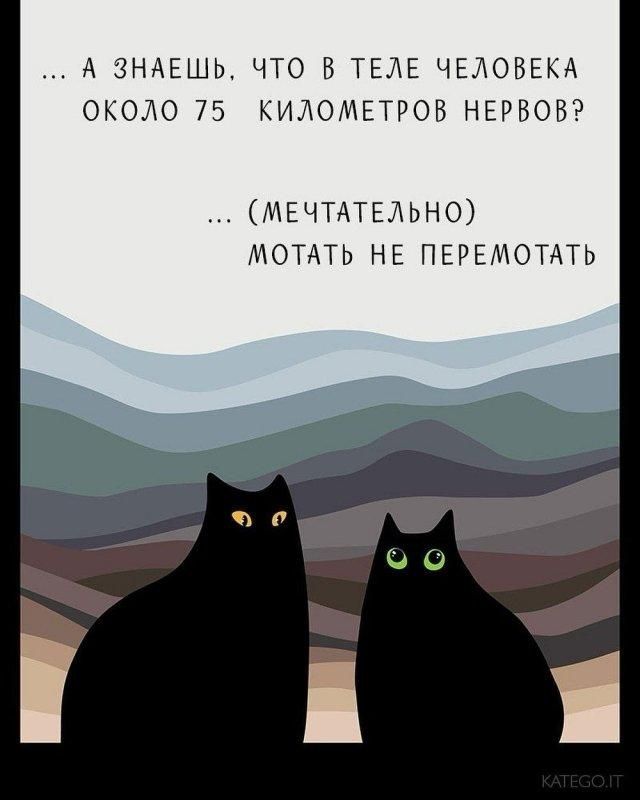 А знаешь, что в теле человека около 75 километров нервов? ... (Мечтательно) Мотать не перемотать