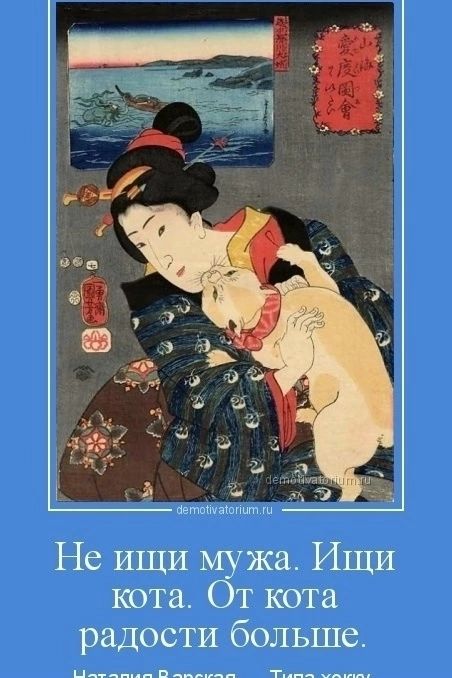 Не ищи мужа. Ищи кота. От кота радости больше.