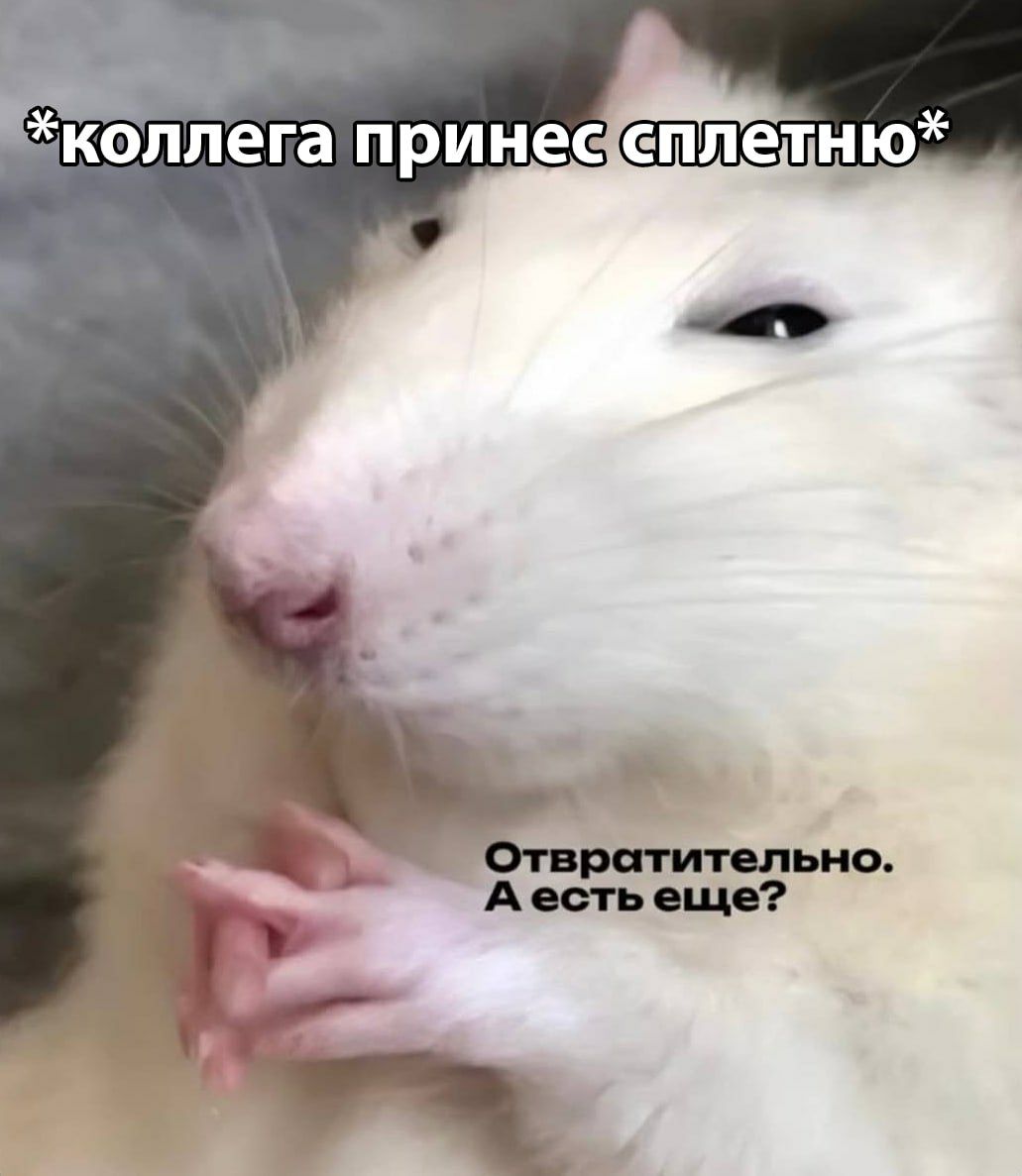 *коллега принес сплетню* Отвратительно. А есть еще?