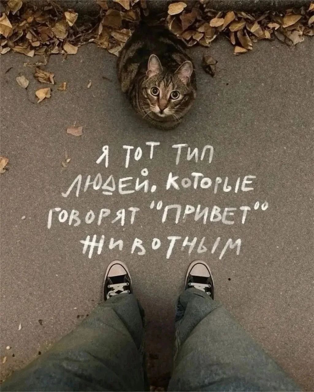 Я ТОТ ТИП ЛЮДЕЙ, КОТОРЫЕ ГОВОРЯТ 