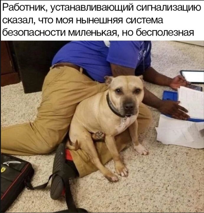 Работник, устанавливающий сигнализацию сказал, что моя нынешняя система безопасности миленькая, но бесполезная