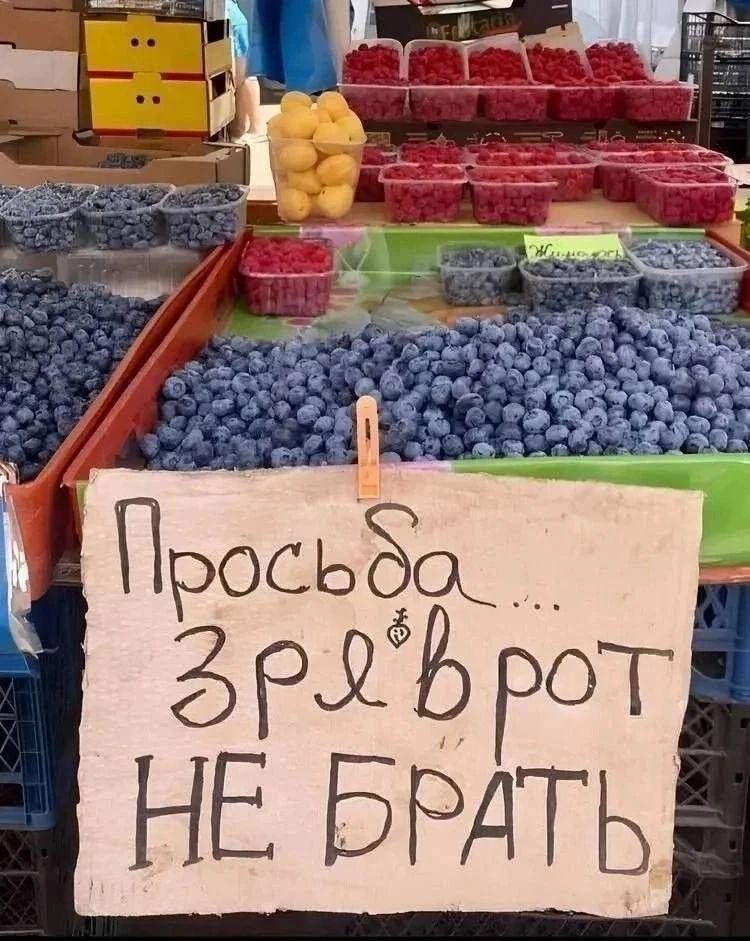 Просьба зря в рот не брать