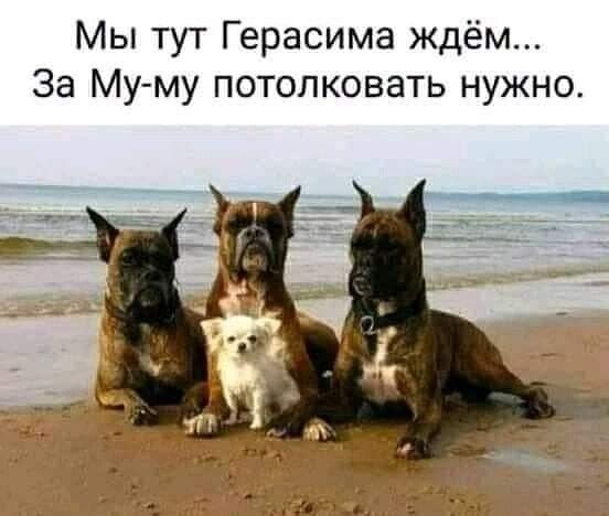 Мы тут Герасима ждём... За Му-му потолковать нужно.