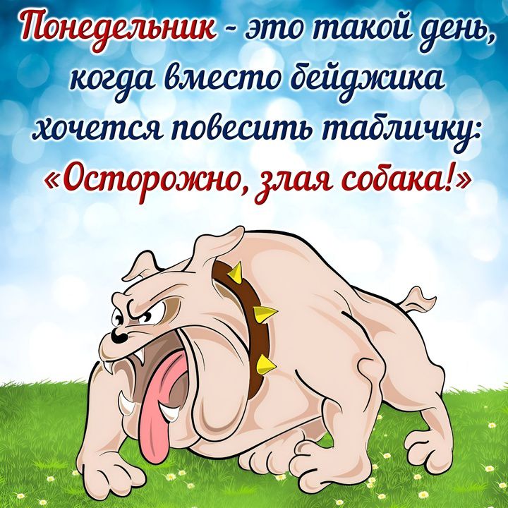 Понедельник - это такой день, когда вместо бейджика хочется повесить табличку: «Осторожно, злая собака!»