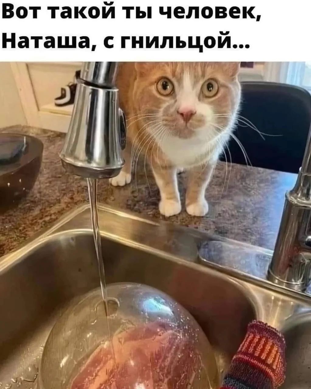 Вот такой ты человек, Наташа, с гнильцой...