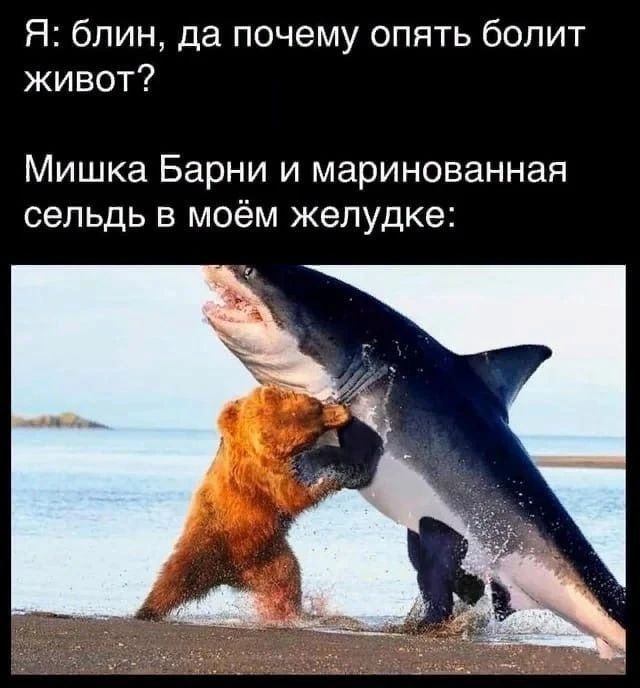 Я: блин, да почему опять болит живот? Мишка Барни и маринованная сельдь в моём желудке: