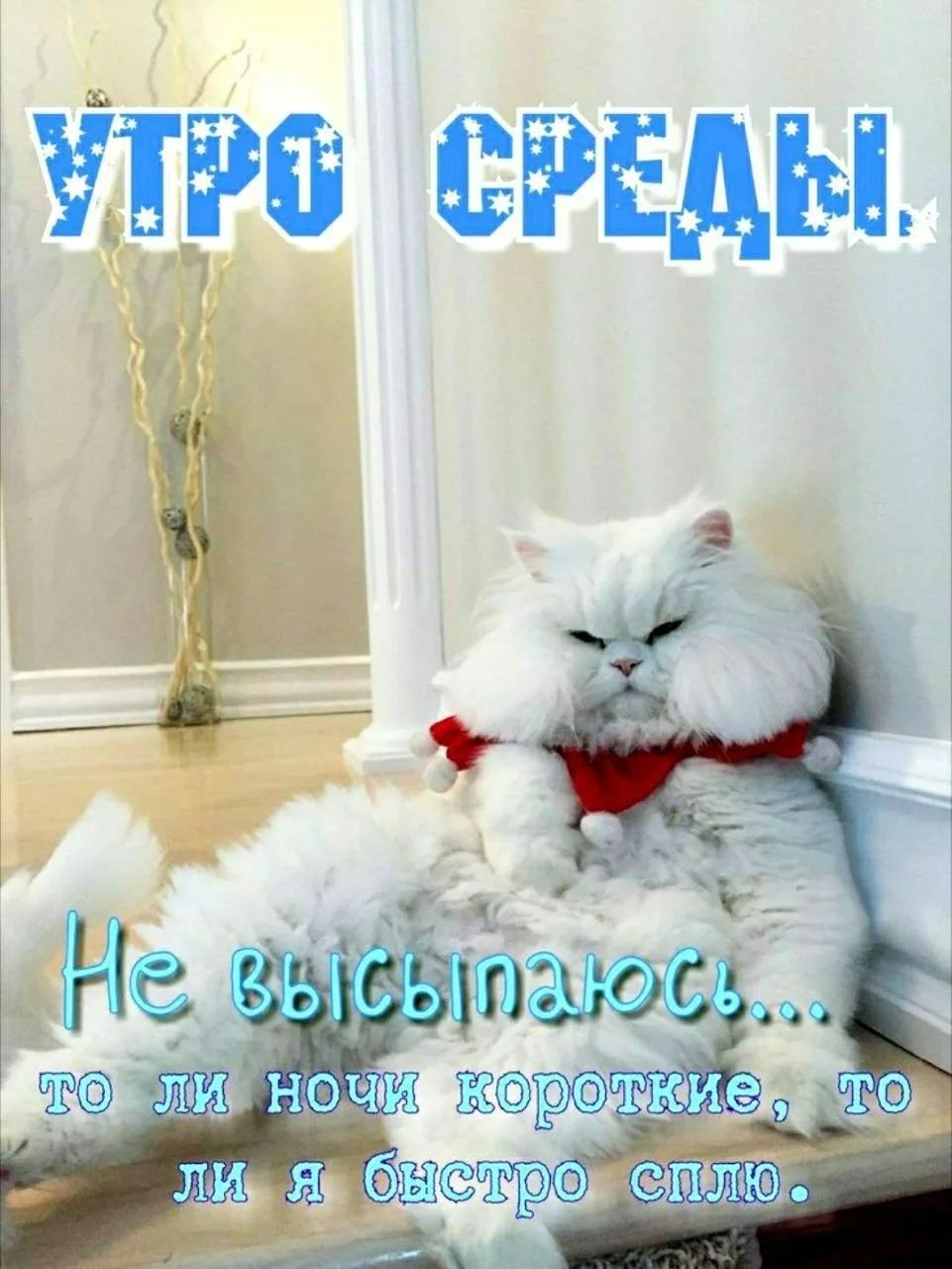 УТРО СРЕДЫ. Не высыпаюсь... то ли ночи короткие, то ли я быстро сплю.