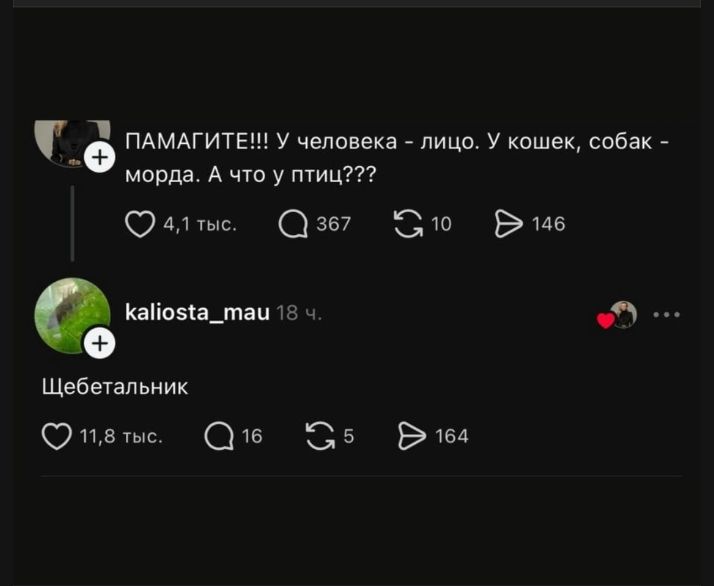 ПАМАГИТЕ!!! У человека - лицо. У кошек, собак - морда. А что у птиц??? Щебетальник
