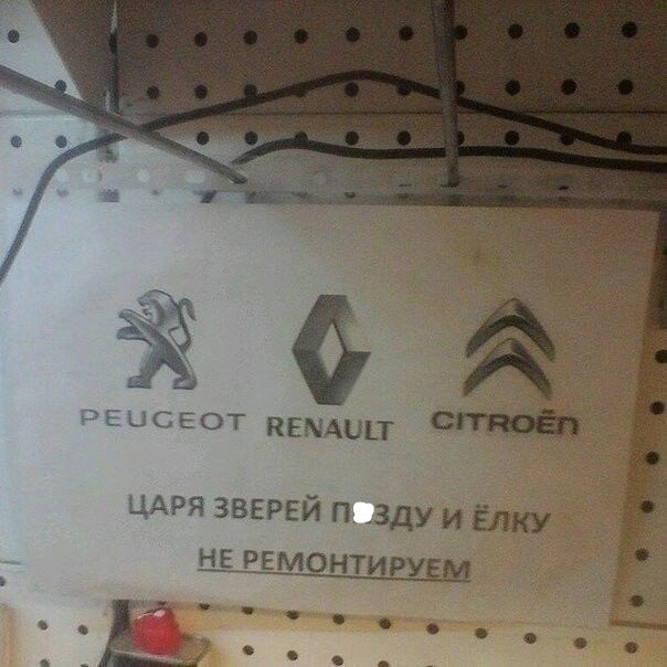 PEUGEOT RENAULT CITROËN ЦАРЯ ЗВЕРЕЙ ПОЗДУ И ЁЛКУ НЕ РЕМОНТИРУЕМ