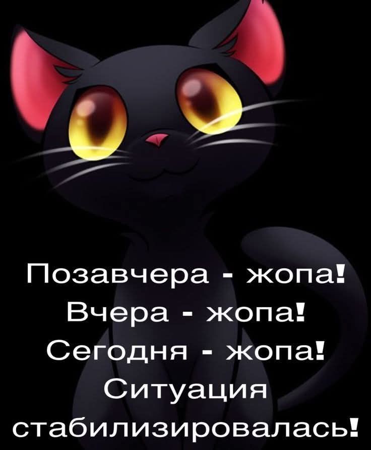 Позавчера - жопа! Вчера - жопа! Сегодня - жопа! Ситуация стабилизировалась!