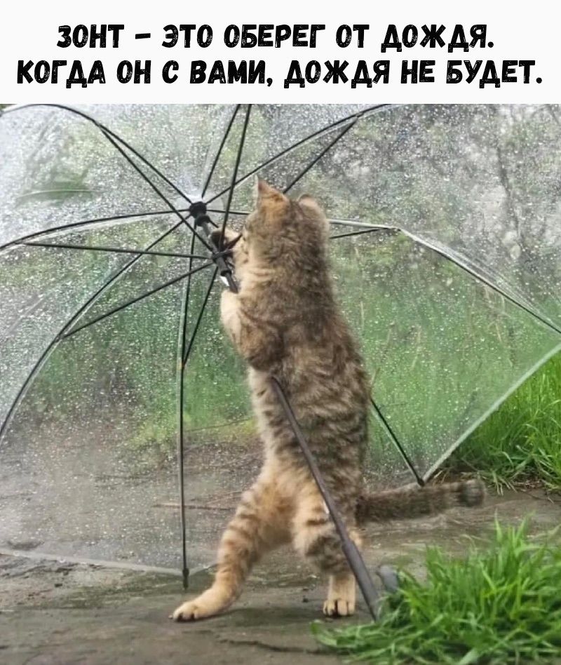 ЗОНТ - ЭТО ОБЕРЕГ ОТ ДОЖДЯ. КОГДА ОН С ВАМИ, ДОЖДЯ НЕ БУДЕТ.