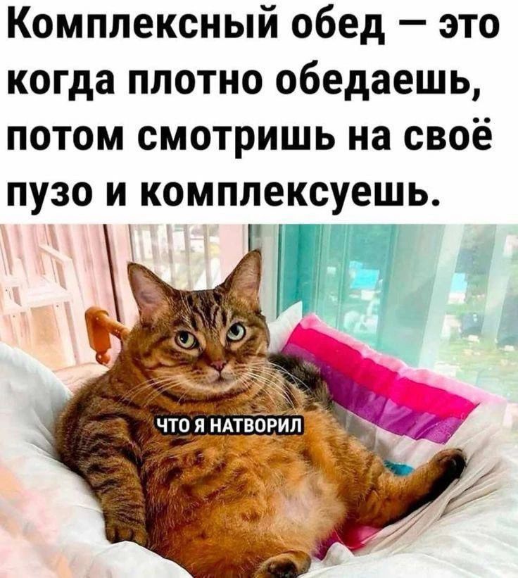 Комплексный обед — это когда плотно обедаешь, потом смотришь на своё пузо и комплексуешь. ЧТО Я НАТВОРИЛ