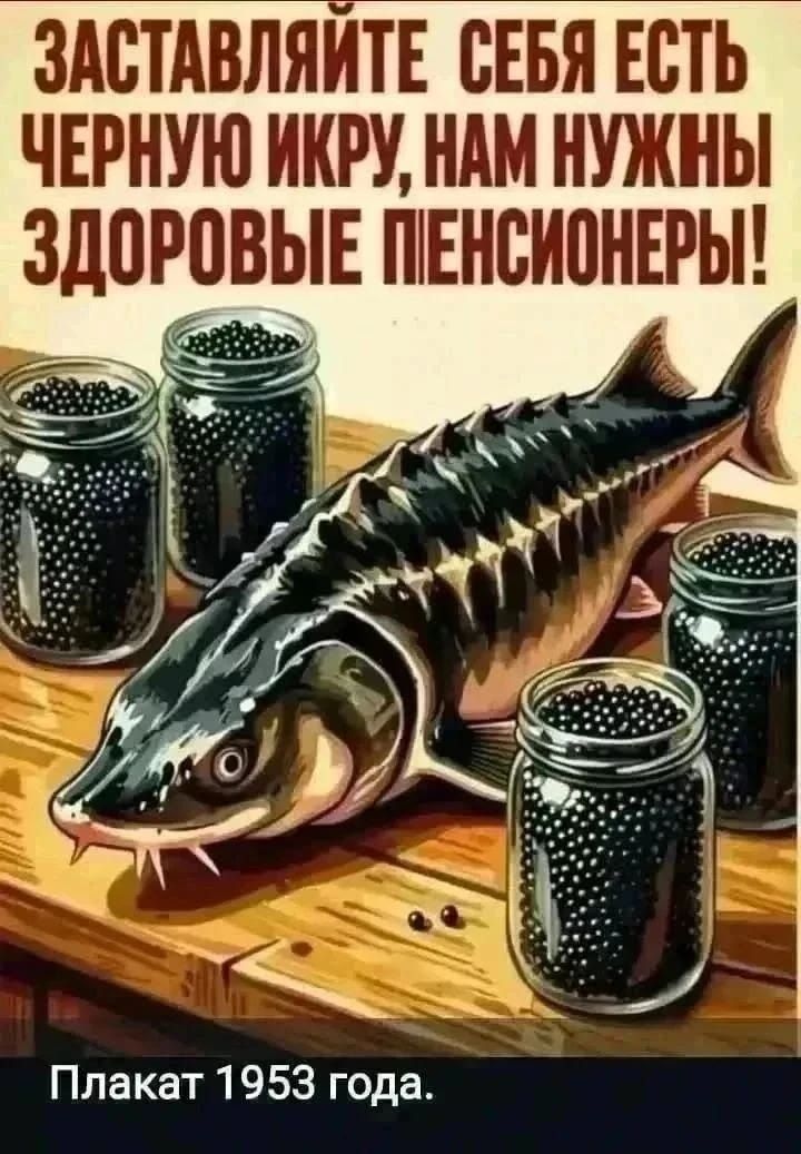 ЗАСТАВЛЯЙТЕ СЕБЯ ЕСТЬ ЧЕРНУЮ ИКРУ, НАМ НУЖНЫ ЗДОРОВЫЕ ПЕНСИОНЕРЫ! Плакат 1953 года.