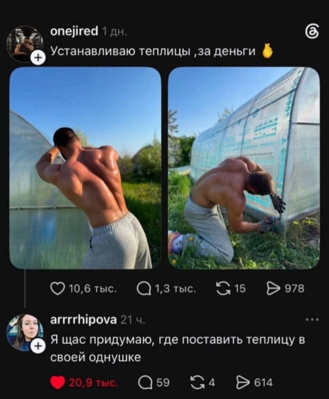Устанавливаю теплицы, за деньги. Я щас придумаю, где поставить теплицу в своей однушке.