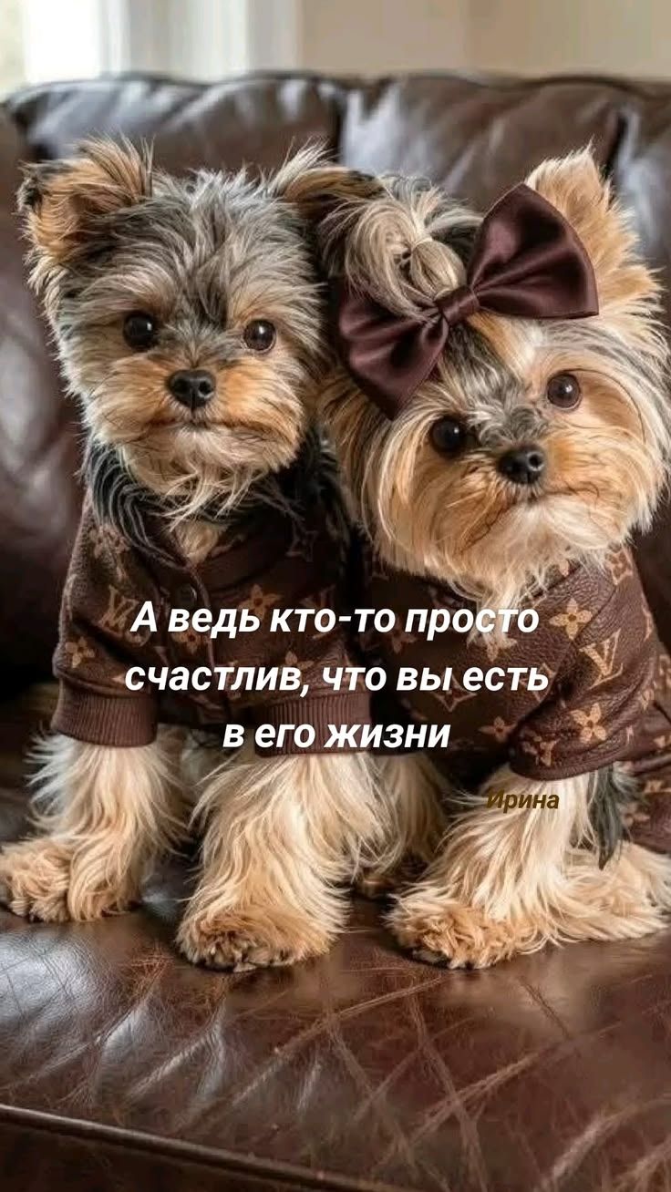 А ведь кто-то просто счастлив, что вы есть в его жизни