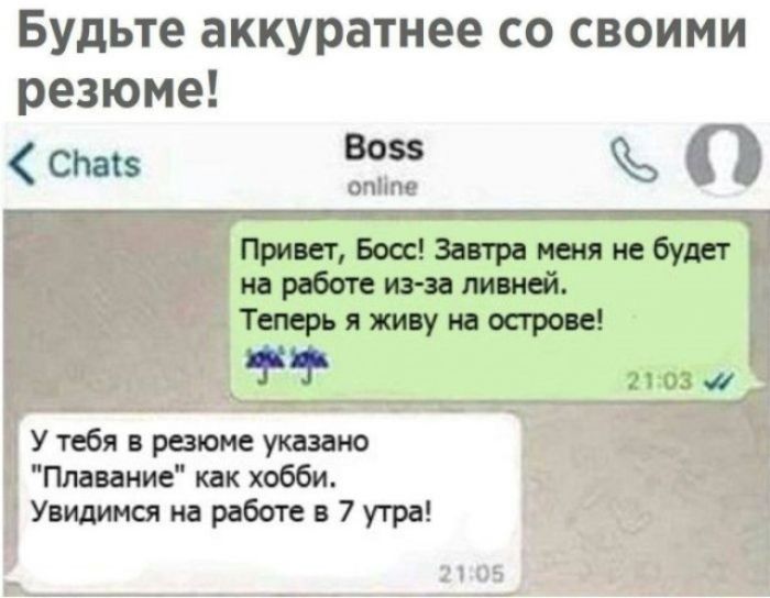 Будьте аккуратнее со своими резюме! Boss online Chats Привет, Босс! Завтра меня не будет на работе из-за ливней. Теперь я живу на острове! У тебя в резюме указано 