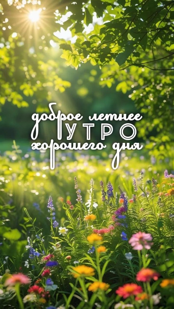 доброе летнее УТРО хорошего дня
