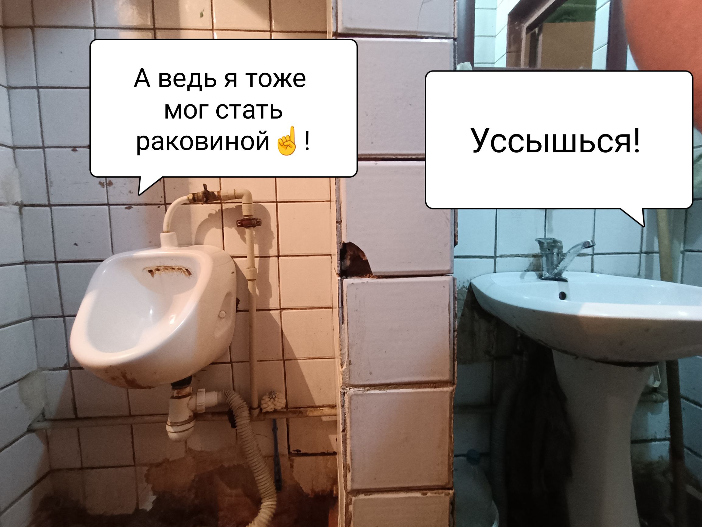 А ведь я тоже мог стать раковиной! 👋 Уссышься!