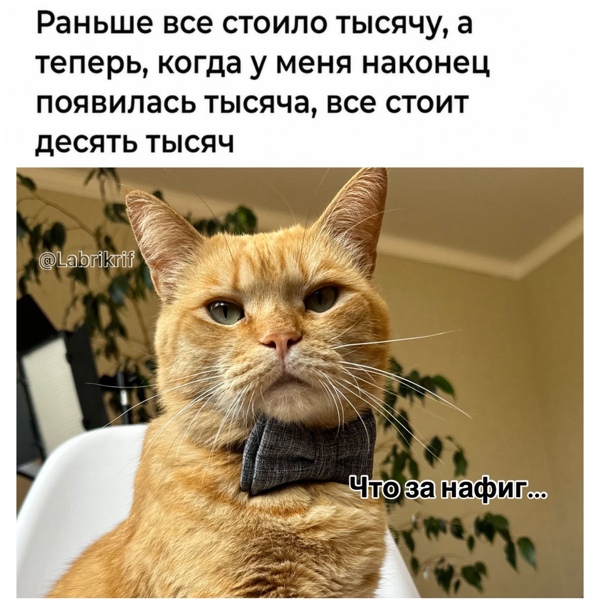 Раньше все стоило тысячу, а теперь, когда у меня наконец появилась тысяча, все стоит десять тысяч. Что за нафиг... @Labrikrif