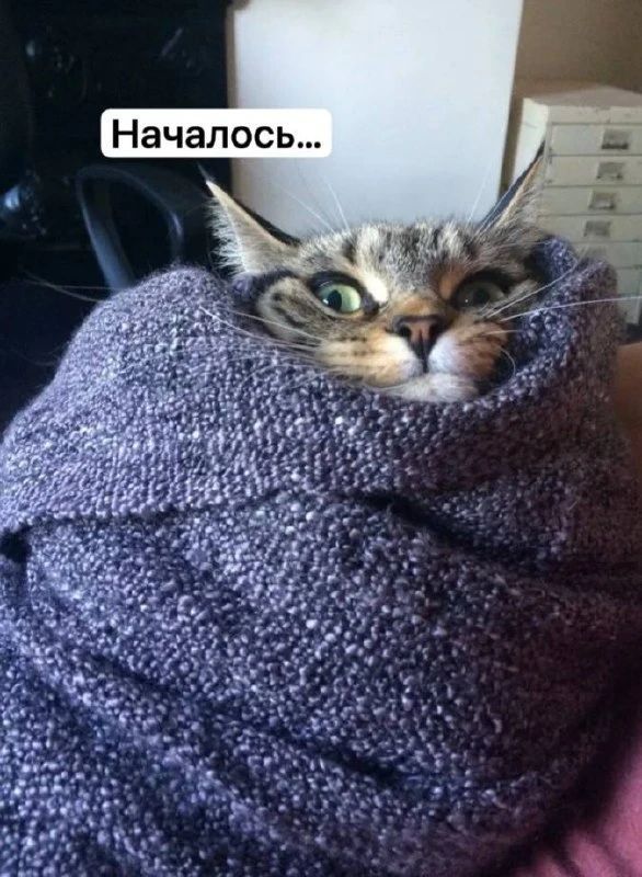 Началось...