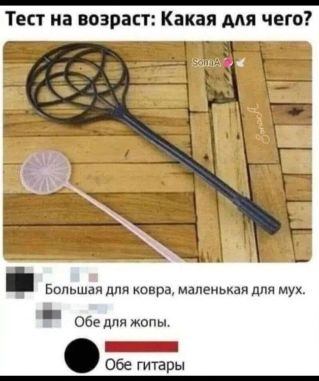 Тест на возраст: Какая для чего? Большая для ковра, маленькая для мух. Обе для жопы. Обе гитары