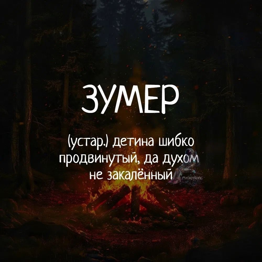 ЗУМЕР (устар.) детина шибко продвинутый, да духом не закалённый