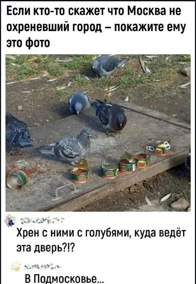 Если кто-то скажет что Москва не охреневший город – покажите ему это фото. Хрен с ними с голубями, куда ведёт эта дверь?!? В Подмосковье...