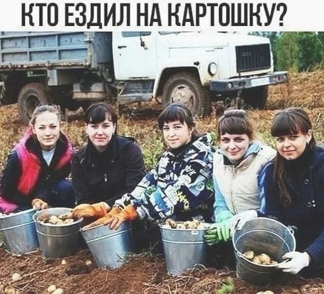 КТО ЕЗДИЛ НА КАРТОШКУ?