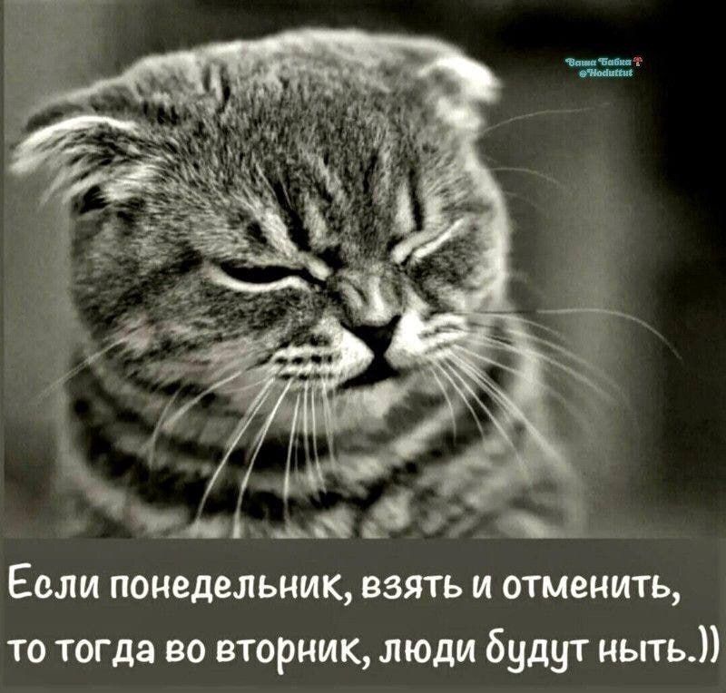 Ваша Бабка @Modutut Если понедельник, взять и отменить, то тогда во вторник, люди будут ныть.))
