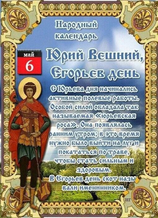 Народный календарь. Май 6. Юрий Вешний, Егорьев День. С Юрьева дня начинались активные полевые работы. Особой силой обладала так называемая «Юрьевская роса». Она появлялась ранним утром; в это время нужно было выйти на луги покататься по траве, чтобы стать сильным и здоровым. В Егорьев день скот называли именинником.