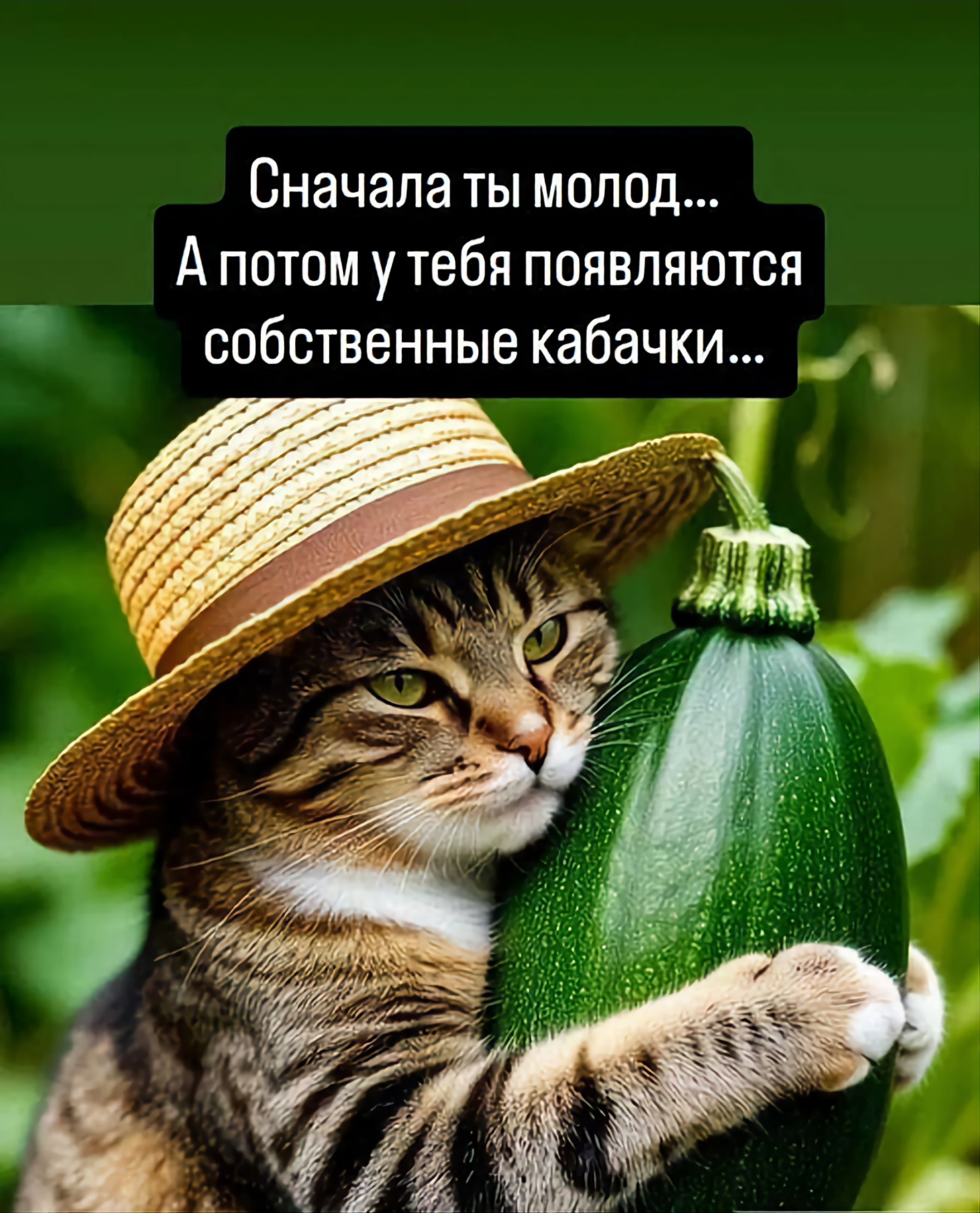 Сначала ты молод... А потом у тебя появляются собственные кабачки...