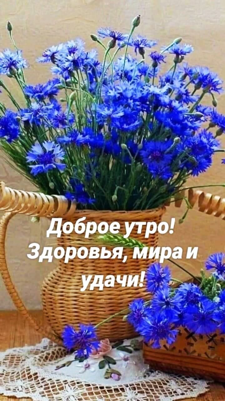 Доброе утро! Здоровья, мира и удачи!