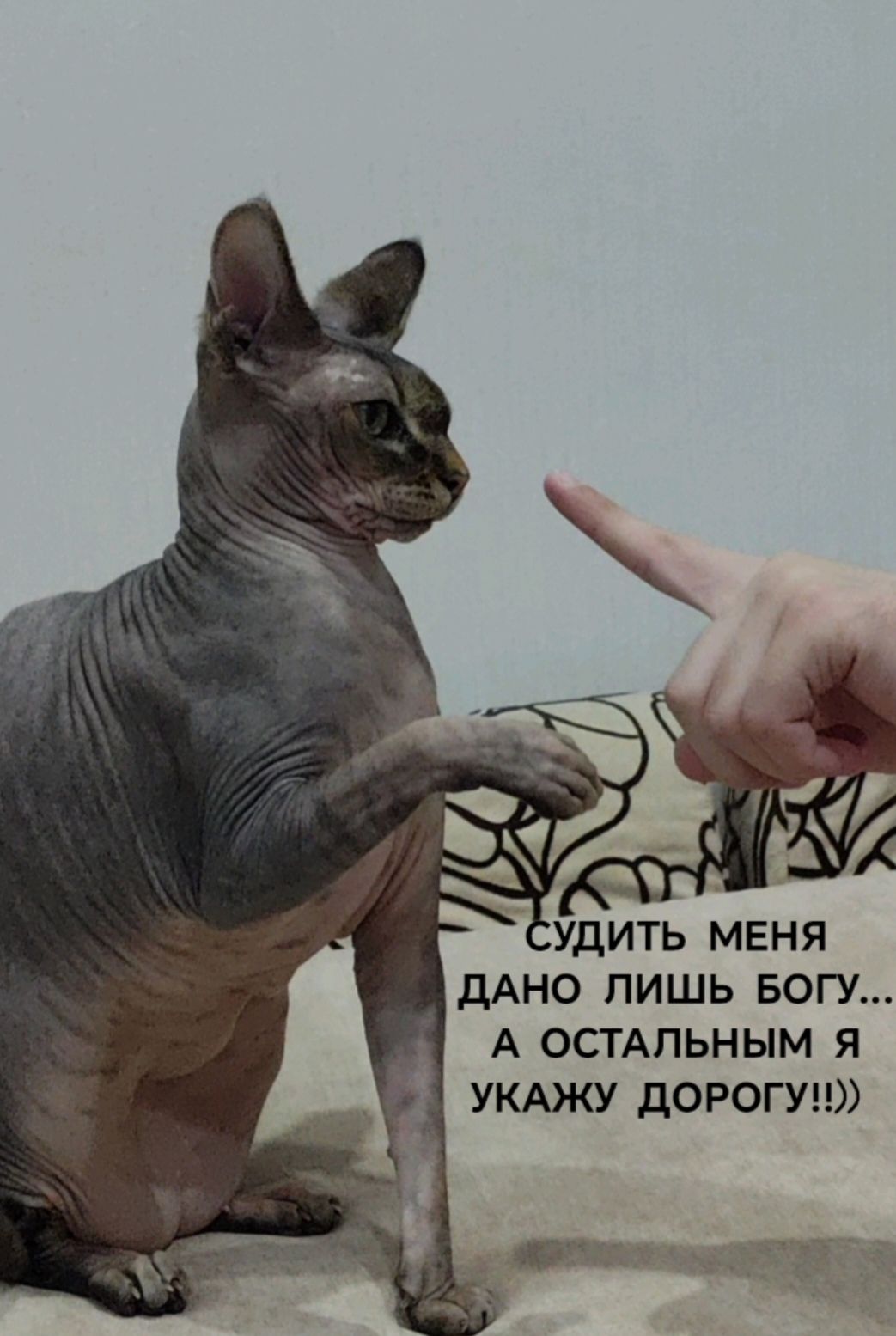 СУДИТЬ МЕНЯ ДАНО ЛИШЬ БОГУ... А ОСТАЛЬНЫМ Я УКАЖУ ДОРОГУ!!))