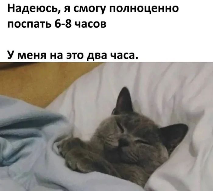 Надеюсь, я смогу полноценно поспать 6-8 часов. У меня на это два часа.