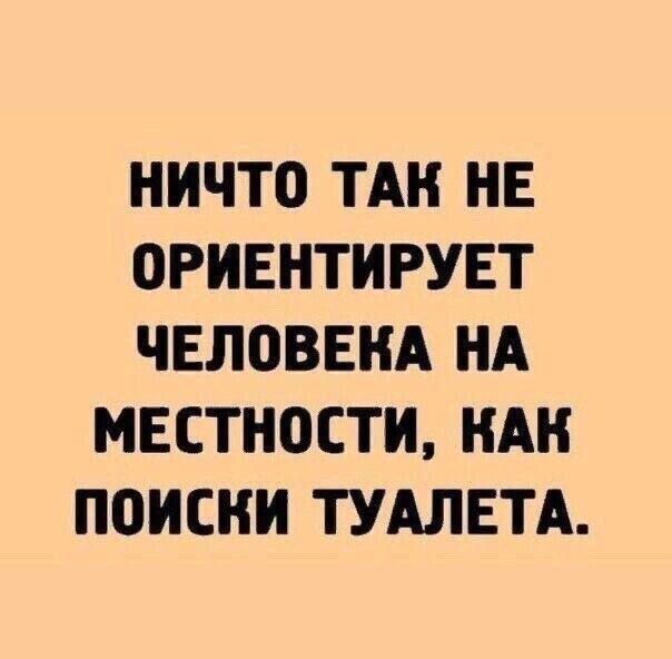 Ничто так не ориентирует человека на местности, как поиски туалета.