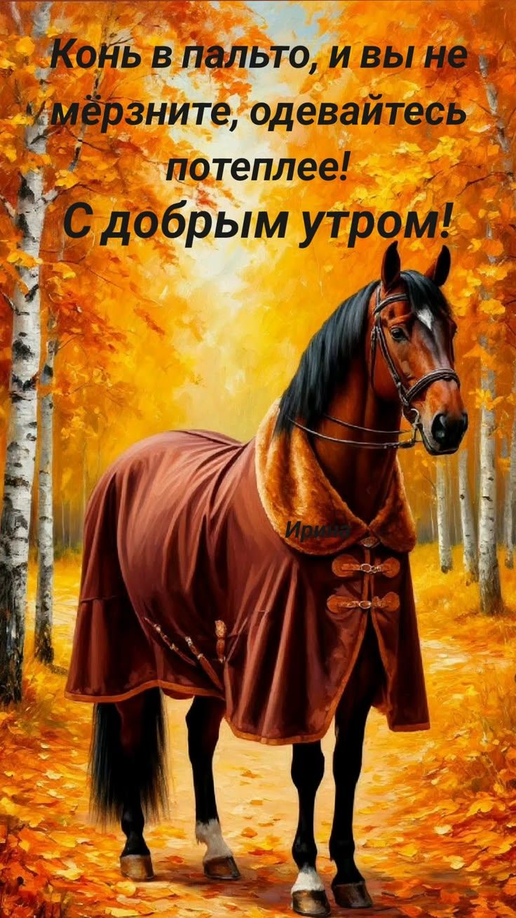 Конь в пальто, и вы не мёрзните, одевайтесь потеплее! С добрым утром!