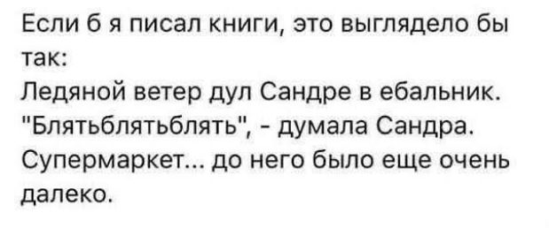 Если б я писал книги, это выглядело бы так: Ледяной ветер дул Сандре в ебальник. 