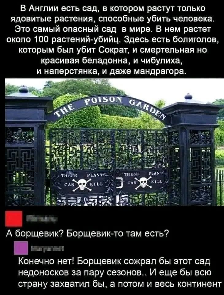 В Англии есть сад, в котором растут только ядовитые растения, способные убить человека. Это самый опасный сад в мире. В нем растет около 100 растений-убийц. Здесь есть болиголов, которым был убит Сократ, и смертельная но красивая беладонна, и чибулиха, и наперстянка, и даже мандрагора. THE POISON GARDEN THESE PLANTS CAN KILL А борщевик?