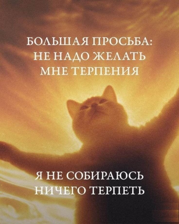 БОЛЬШАЯ ПРОСЬБА: НЕ НАДО ЖЕЛАТЬ МНЕ ТЕРПЕНИЯ Я НЕ СОБИРАЮСЬ НИЧЕГО ТЕРПЕТЬ