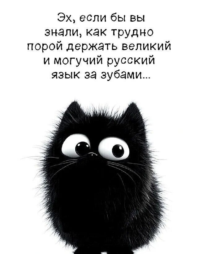 Эх, если бы вы знали, как трудно порой держать великий и могучий русский язык за зубами...