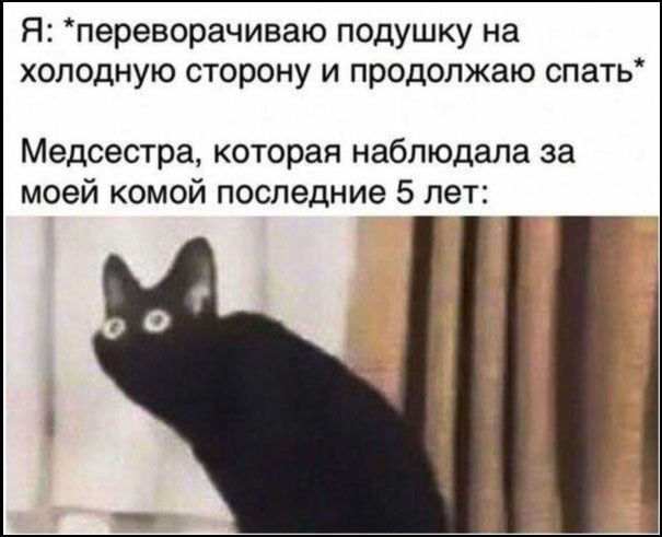 Я: *переворачиваю подушку на холодную сторону и продолжаю спать* Медсестра, которая наблюдала за моей комой последние 5 лет: