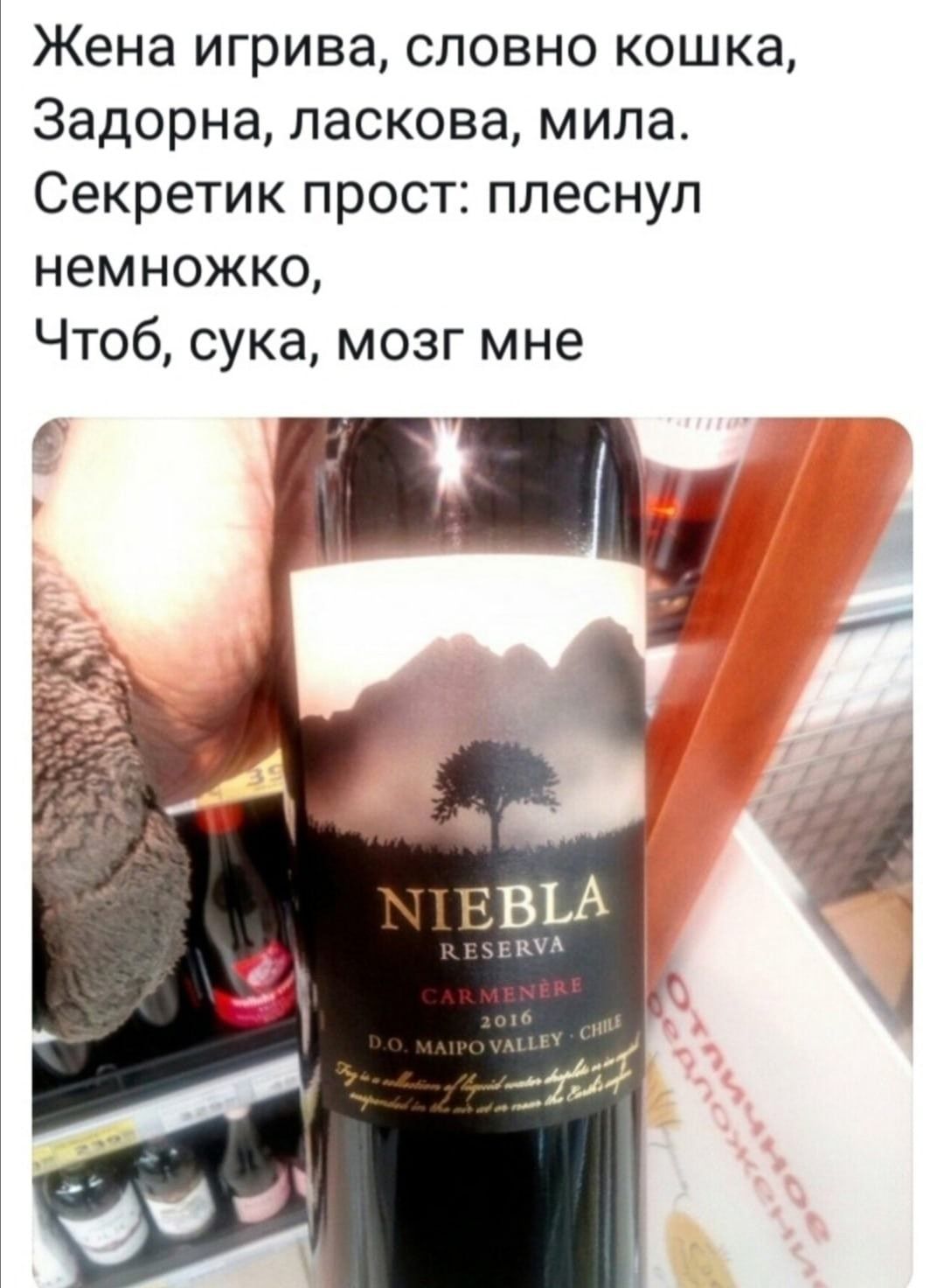 Жена игрива, словно кошка, Задорна, ласкова, мила. Секретик прост: плеснул немножко, Чтоб, сука, мозг мне. NIEBLA RESERVA CARMENERE 2016 D.O. MAIPO VALLEY CHILE. Отличное предложение.