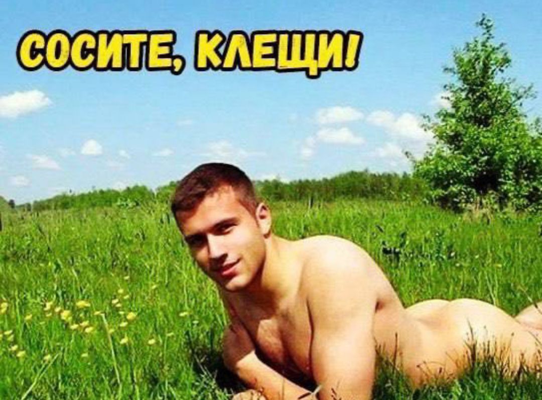 СОСИТЕ, КЛЕЩИ!