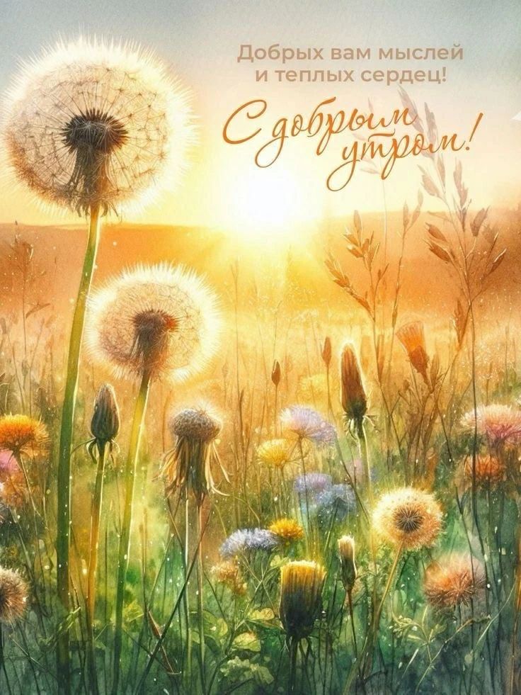 Добрых вам мыслей и теплых сердец! С добрым утром!