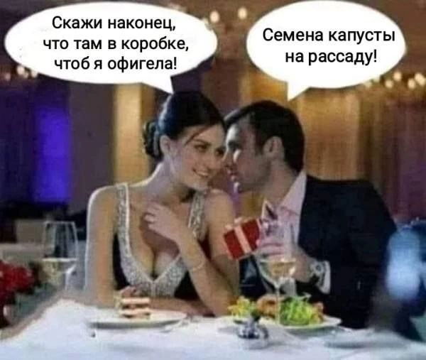 Скажи наконец, что там в коробке, чтоб я офигела! Семена капусты на рассаду!